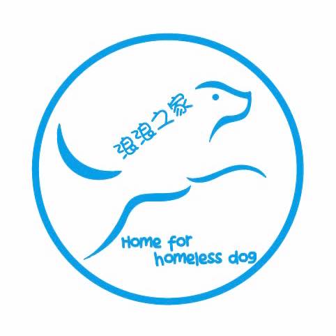 Home for homeless dog